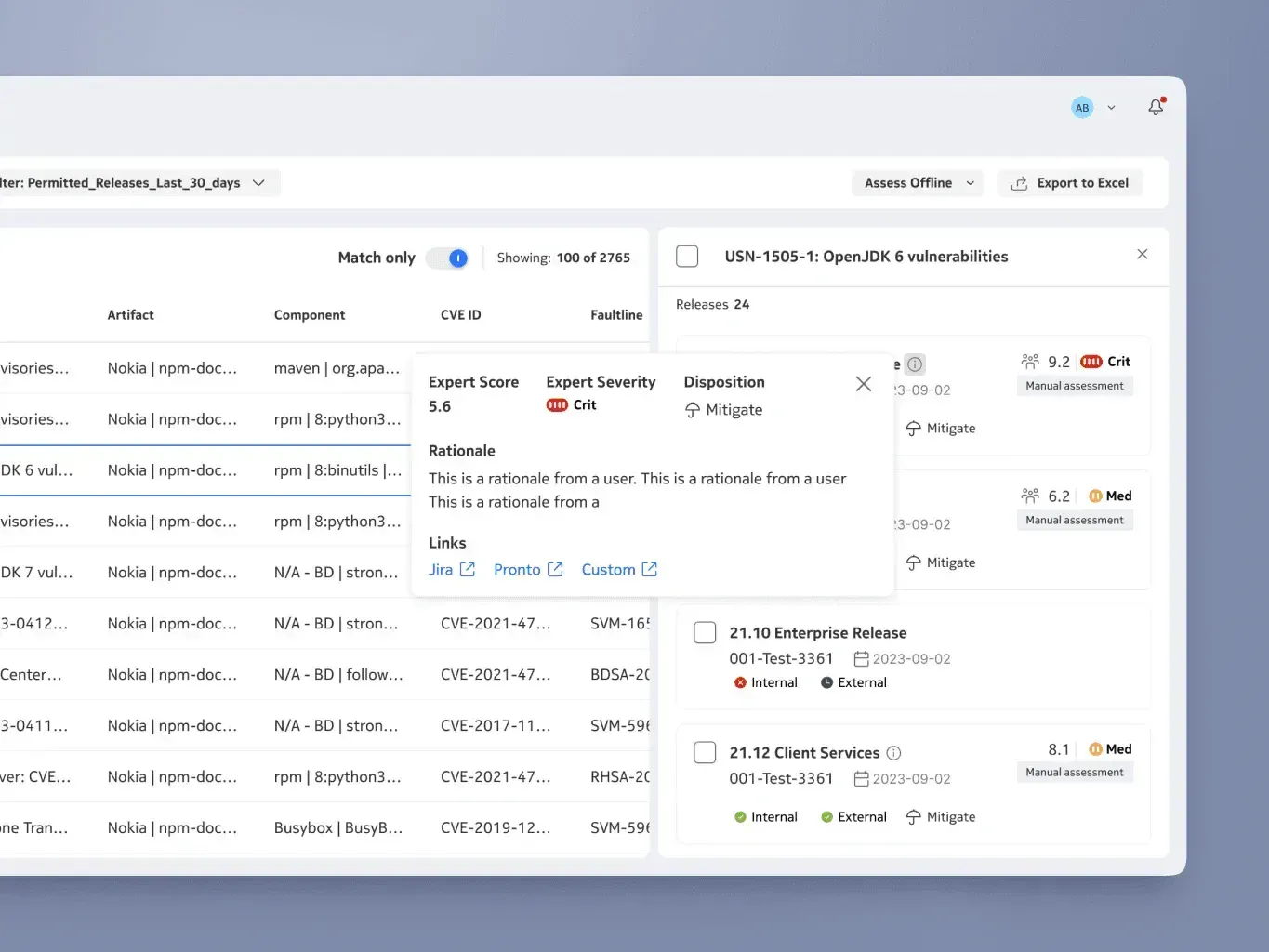 Selected vulnerability report alongside the assessment table, with affected releases and risk ratings